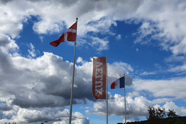 Comparaison des formats entre drapeaux officiels et drapeau avec logo