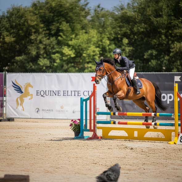 Springreiterin über buntem Hindernis, große Sponsorenbanner entlang der Reitplatzumrandung.
